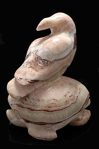 Bird on a Turtle, Roland Nicolas, Gaspesian Marble